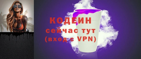 прущие грибы Новодвинск